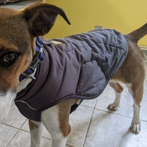 RuffWear gray Quinzee XS dog coat.